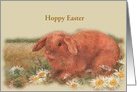 for Future Son in Law illustrated Easter Bunny card