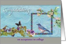 College Acceptance Congrats Asianesque Bluebird card