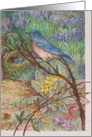 Bluebird in Spring Garden Illustration Invitation card