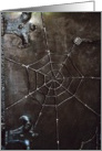 Boo Scary Spider Ironwork For Halloween card