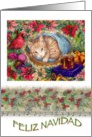 Feliz Navidad Kitten Christmas Wreath card