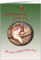 Sleepy Christmas Cat Ornament card