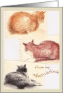 Kitty Thank You Petsitter card