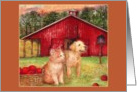 Pup Kitten Barn Thank You Veterinarian card