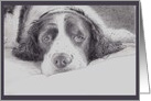 Thank You Veterinarian Pet Portrait card