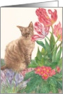 Tabby Cat Thank You Veterinarian card