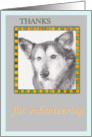 Thank You For Volunteering German Sheperd Illustration card