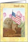 Thank You For Volunteering Puppy And Kitten With Flag card