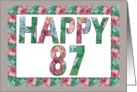 HAPPY 87 Birthday, Illuminated Fonts, Rose border card