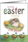 For Babysitter Hoppy Easter bunny & chick illustration card