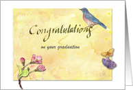 illustrated grad congrats from us take wing card