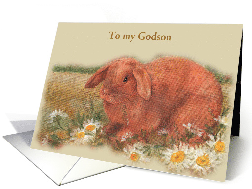 Age Specific Birthday Illustrated Brown Bunny card (1248890)