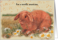 Musician’s Birthday Musical Notes Whimsical Bunny card