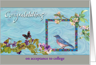College Acceptance Congrats Asianesque Bluebird card