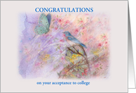College Acceptance Congrats Illustrated Bluebird card