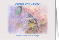 College Acceptance...