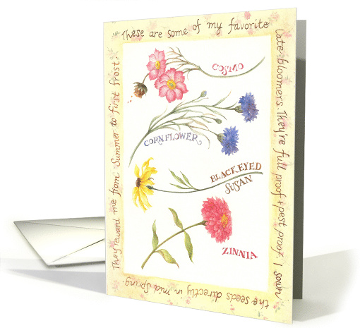 Any Occasion Illustrated Country Flower card (213439)