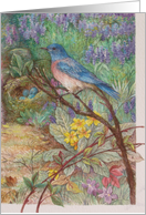 Bluebird in Spring Garden Illustration Invitation card