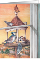 Winter Birds at Bird Feeder Glowing Sunset card