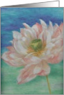 waterlily card
