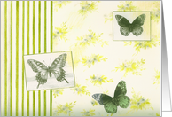 Illustrated Butterflies Scrapbook Yellow & Green card