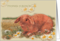 Thank You, illustrated Bunny with Wildflower card