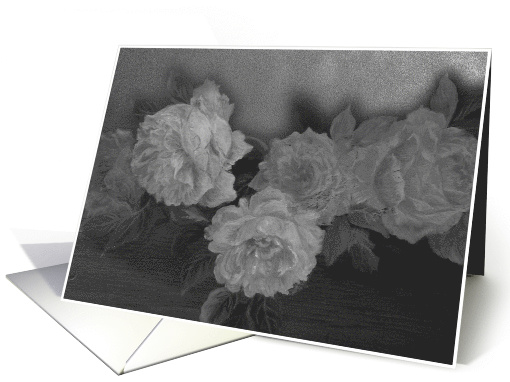 Any occasion Lush Black & White Roses card (477329)