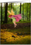 Magical Woodland Fairy Any Occasion card