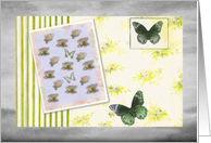 Happy Grandparent Day teacup butterflies card