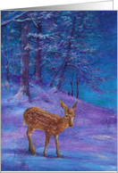 Reindeer In Magical Forest New Address card