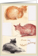 Kitty Thank You Petsitter card