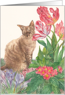 Tabby Cat Thank You Veterinarian card