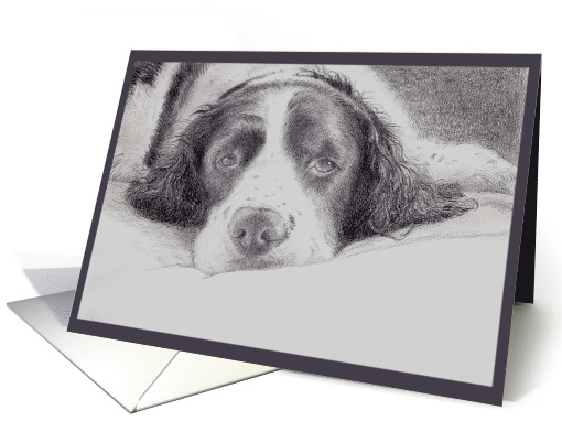 Thank You For Volunteering Dog Illustration card (827877)