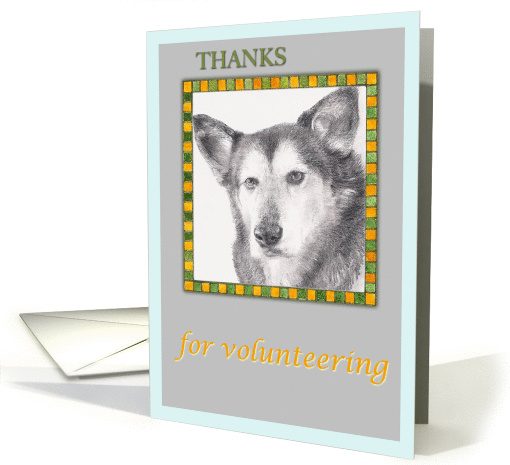 Thank You For Volunteering German Sheperd Illustration
 card (831467)