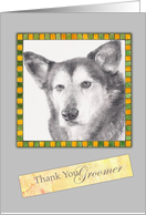 Thank You Groomer German Shepherd Illustration card