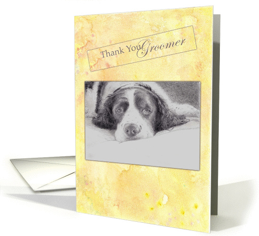 Thank You Groomer English Spaniel Illustration card (859793)