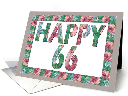 HAPPY 66 Birthday, Illuminated Fonts, Rose border card (885240)