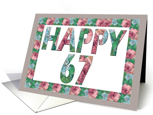 HAPPY 67 Birthday, Illuminated Fonts, Rose border card (885241)
