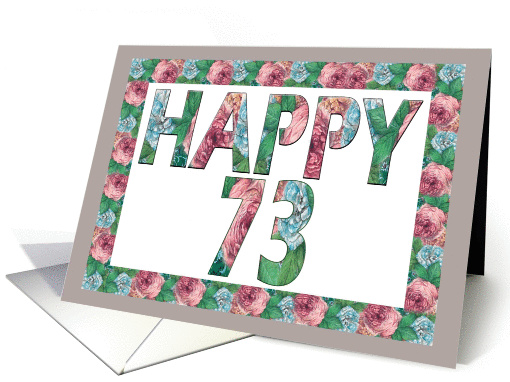 HAPPY 73 Birthday, Illuminated Fonts, Rose border card (885457)