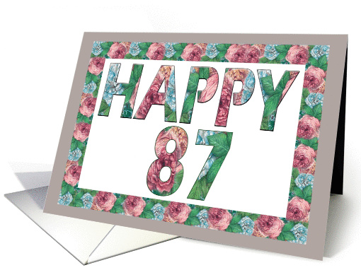 HAPPY 87 Birthday, Illuminated Fonts, Rose border card (885667)