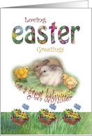 For Babysitter Hoppy Easter bunny & chick illustration card
