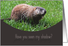 Have you seen my shadow? Happy Ground Hog’s Day card