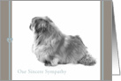 Pekingese Dog Our sincere sympathy card