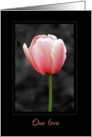One love tulip painted b&wValentine card
