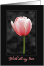 Valentine With all my love pink tulip on b &w card