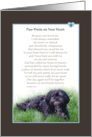 Paw Prints on Your Heart card