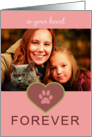 Pink paw print CAT sympathy photo card