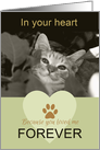 Because you loved me CAT sympathy photo card