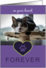 In Your Heart Forever CAT Paw Print Pet Sympathy Lavender Photo Card