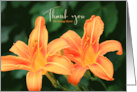 Thank You for Being There Tiger Lilies card